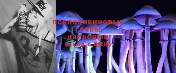 ешки Верея