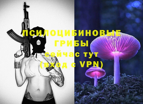 ешки Верея