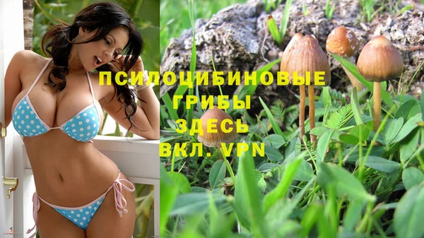 скорость Верхний Тагил