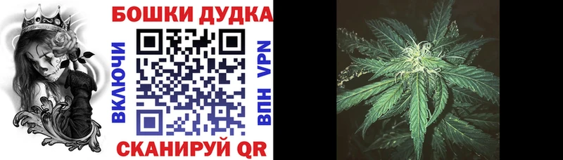 Шишки марихуана White Widow Ачхой-Мартан